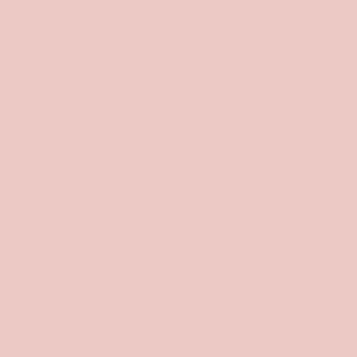 Cotton Candy · PURE Solids